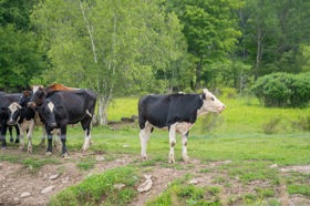 Group of people celebrating on stage