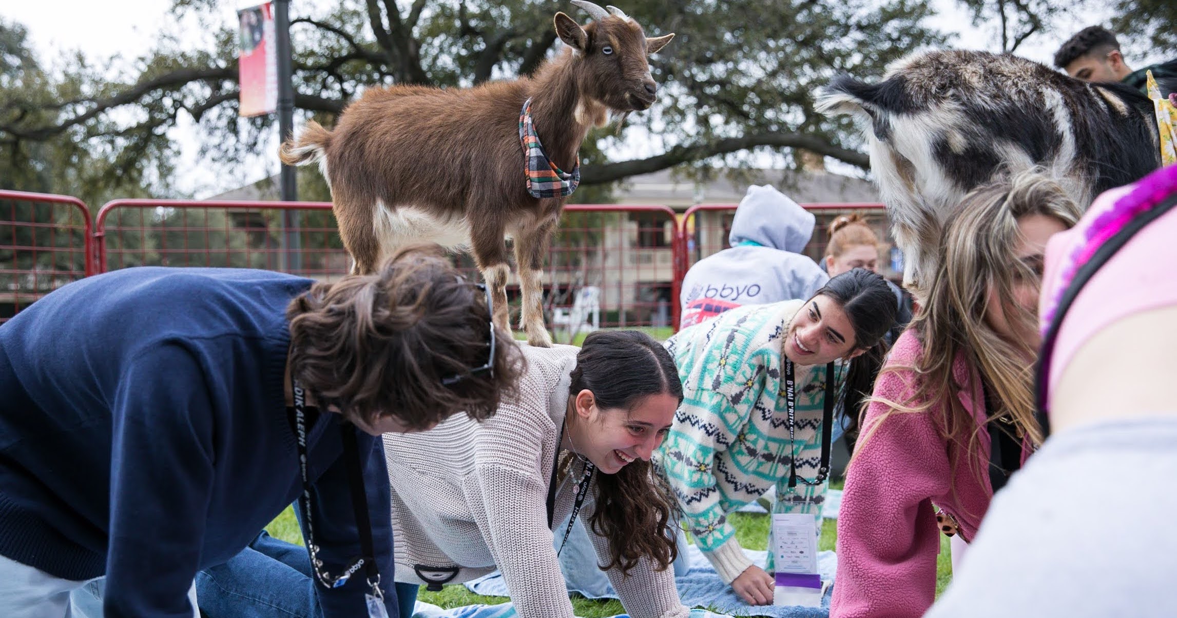 Group of people celebrating on stage