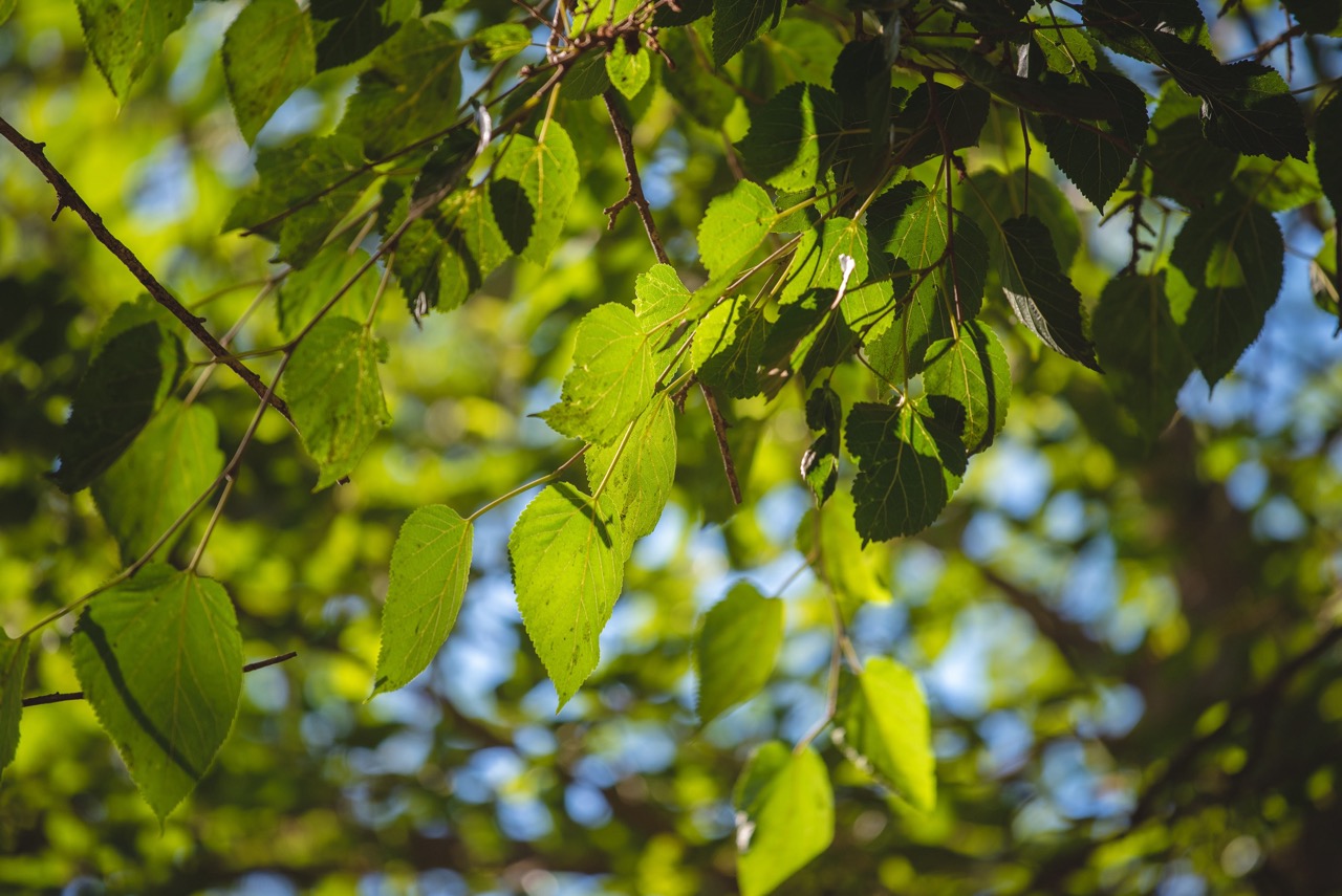 Group of people celebrating on stage